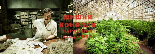 таблы Новозыбков