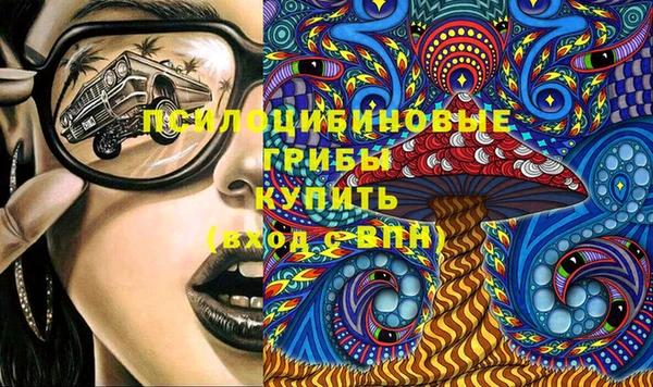 таблы Новозыбков