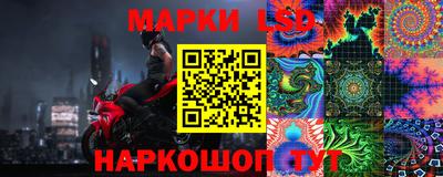 прущие грибы Волгодонск