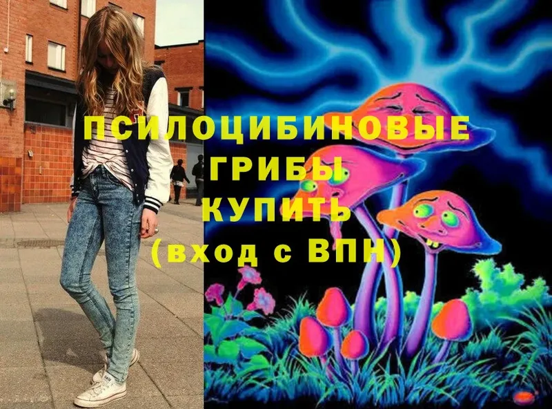 Псилоцибиновые грибы Magic Shrooms  даркнет сайт  Петровск 