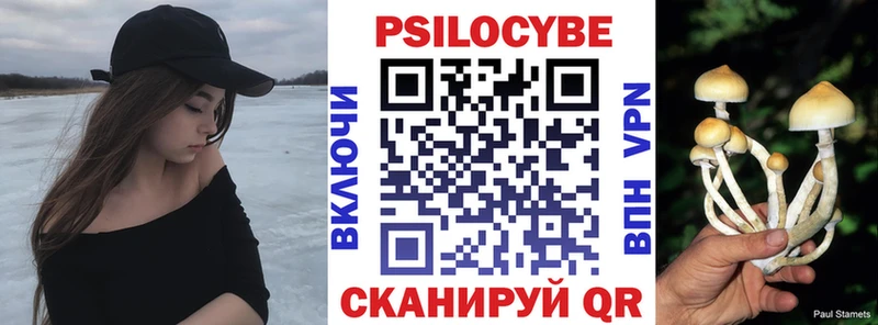 МЕГА зеркало  Петровск  Галлюциногенные грибы мухоморы 