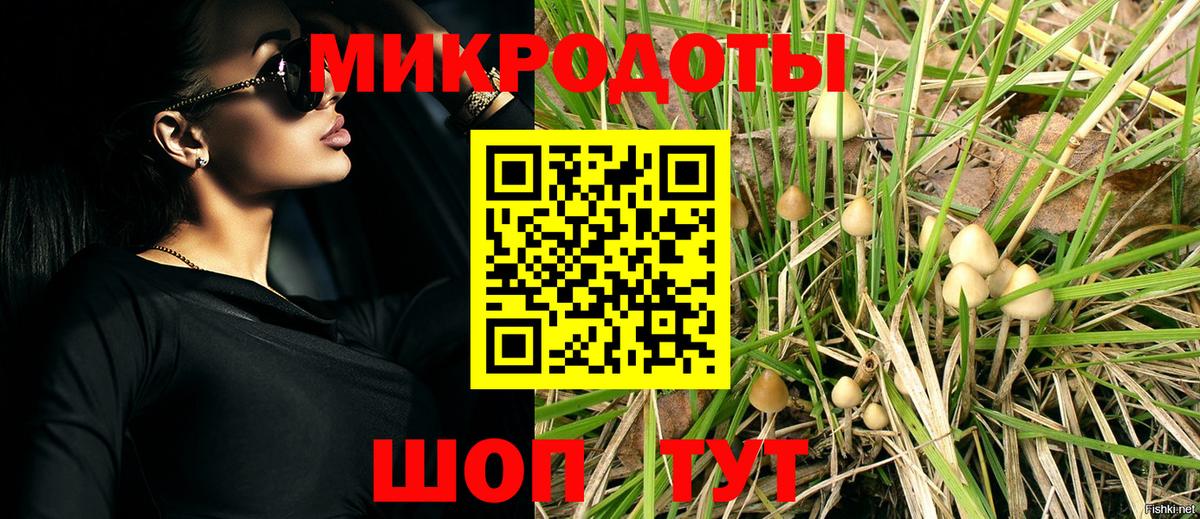 Галлюциногенные грибы прущие грибы  Галлюциногенные грибы Magic Shrooms  Петровск 