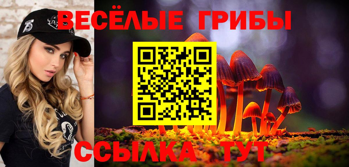Псилоцибиновые грибы прущие грибы Петровск
